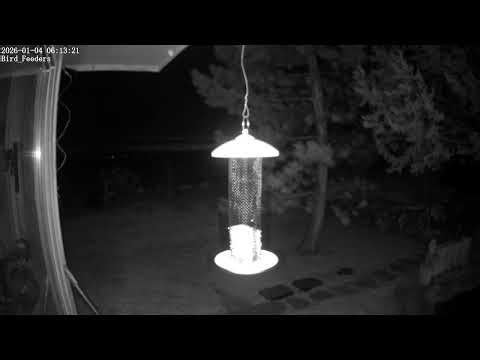 Bird Feeders & Hummingbird feeders