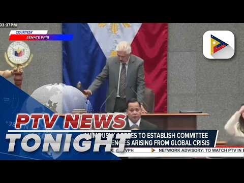 Senate unanimously agrees to establish committee to address contingencies arising from global crisis