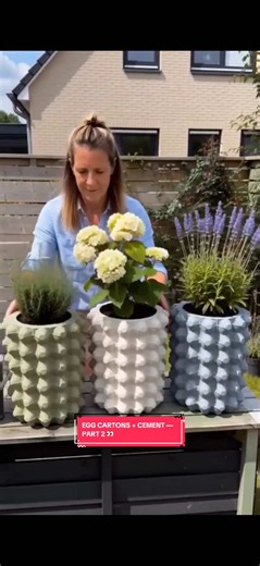 You asked for Part 2, and here it is! 😍🌿 Did the egg cartons really hold the cement? And can this unusual DIY turn into a beautiful garden flower pot? 👀 Let's discover the final result together! ❤️#InternetVsReality #DeivaDivine #DIYTest #FlowerPotDIY #part2