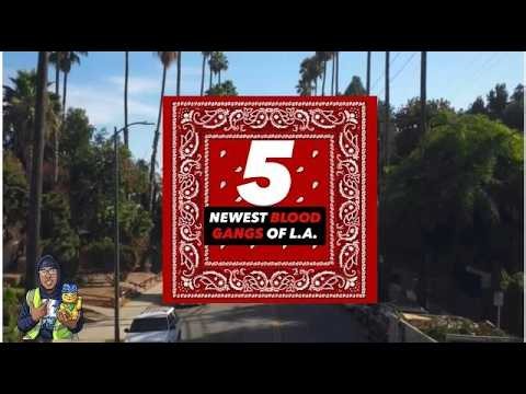5 NEW Blood Gangs in Los Angeles in 2026?! | S Wiggins Reaction