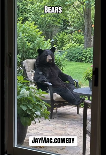 Funny Bear Voiceover: Enjoying the Nice Weather 😂 | JayMac.comedy