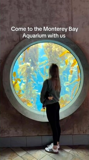 Come with us to the Monterey Bay Aquarium