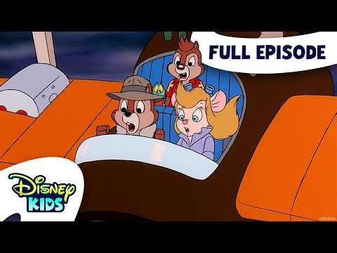 Zipper Come Home | Chip 'n Dale's Rescue Rangers S1 E61 | Full Episode | @disneykids