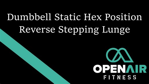Dumbbell Static Hex Position Reverse Stepping Lunge