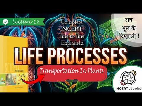 Class 10 Life Process 🔥 | Biology | Chapter 5 Life Processes | NCERT Covered | Lecture 13 | Science