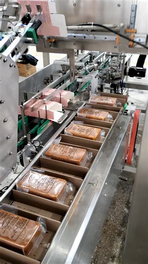a carton-packing machine that can save more than 10 workers, integrating cardboard box folding, forming, and lid insertion into a single process... | AutoPack Machine