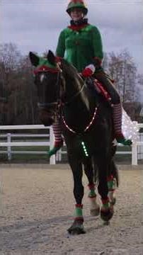 Kameramann packt aus 😕 Dreharbeiten zum Pferde Weihnachtsfilm🎄2025