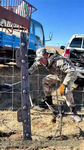 Twisting the Wire: How a Worker Secures a Livestock Fence