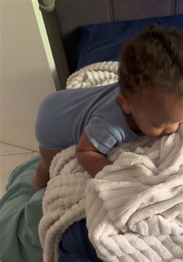How Nugget Cleverly Gets Off the Bed — Funny Pet Moment