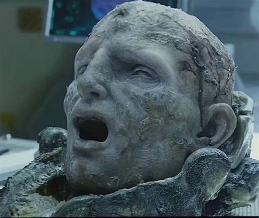 This is a brain from 20 millions years ago. OMG the smell 😢 😭 Prometheus 2 by Alien Covenant