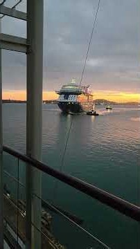 Celebrity Edge Cruise 🚢 | Auckland NZ #cruise #cruiseship