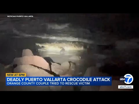 Man killed in Mexico crocodile attack; Orange County couple tried to rescue him