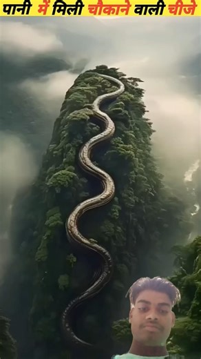 The most dangerous snake found in Amazon River#viral