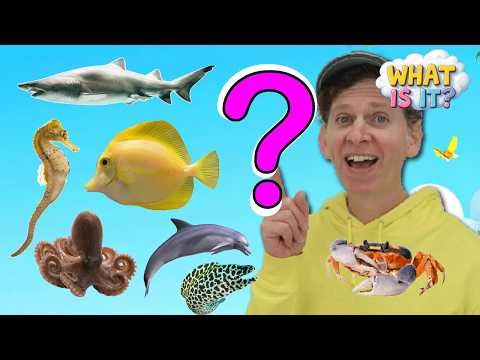 Sea Creatures - What Is It? 🐬  | Guessing Game, Vocabulary Builder | Dream English Kids