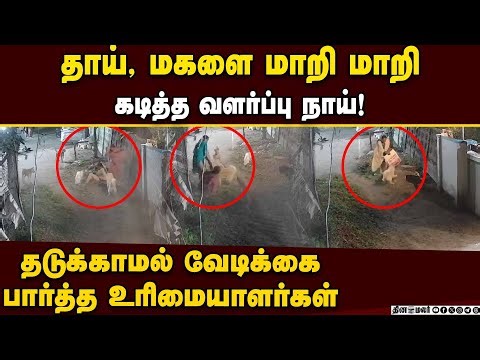 கடித்த நாயை கம்பி, கட்டையால் வெளுத்த பெண்கள் dog attack Tamil Nadu |pet dog attack India