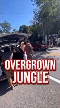 Mowing Wild Overgrown Jungle & Extreme Lawn Cleanup Transformation 🚜🌿 #freelawncare #mowing