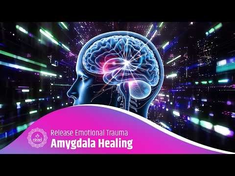 Amygdala Healing & Nervous System Reset | Release Stress, Panic & Emotional Trauma