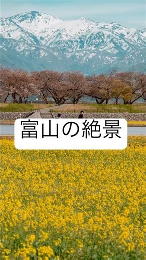 富山旅行で行ってほしいスポット #富山 #旅行vlog #温泉 #japantravel