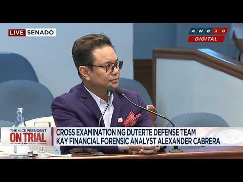 LOOK: Forensic financial analyst Alex Cabrera returns to witness stand for cross-examination | ANC