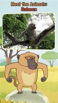 Wait, Baboons Eat Meat?! | Meet the Animals | Little Fox | #shorts