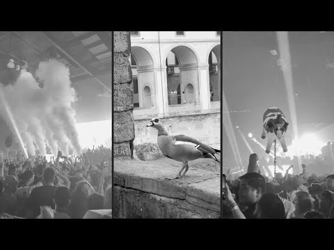 random pretty things