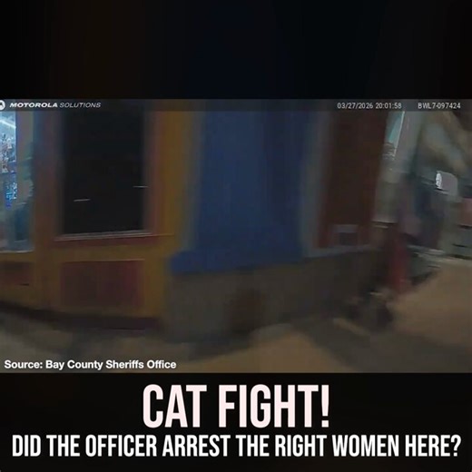 The Bay County Sheriff's Office published footage showing the aftermath of a cat fight between young women. The officer ended up detaining at least three suspects.