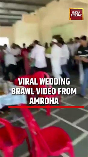 Viral Wedding Fight Video: Chaos Over Chicken Leg in Amroha #viral #biryani #amroha