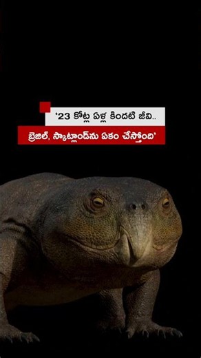 ‘23 కోట్ల ఏళ్ల క్రితం జీవి.. బ్రెజిల్, స్కాట్లాండ్‌ను ఏకం చేస్తోంది’ | BBC Telugu