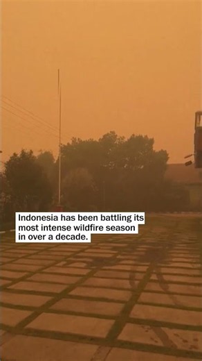 Ongoing forest fires shroud Indonesia’s skies in a thick orange haze