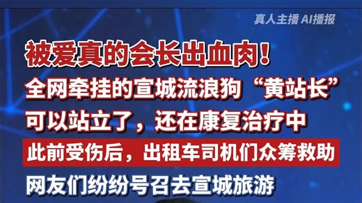 被爱真的会长出血肉！全网牵挂的宣城流浪小狗“黄站长”可以站立了，还在康复治疗。此前它受伤后，出租车司机们众筹救助，网友纷纷号召去宣城旅游，坐爱心出租车