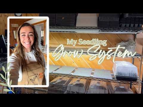 My Seedling Grow System 🌱