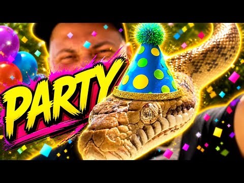 It’s My Scrub Python’s 5th Birthday! 