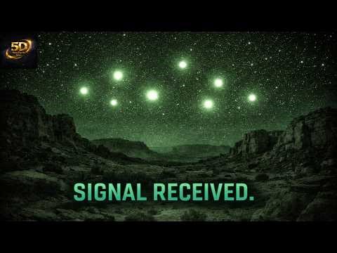 5D NEW EARTH NEWS The Field Breathes You Back | 5D Energy Update + Signal Report Debuts