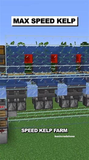 Maximum Speed Kelp Farm | Donut SMP #shorts