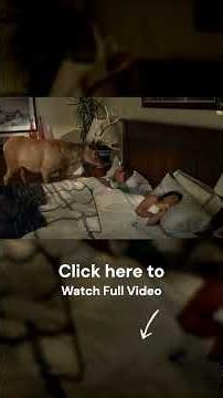 Adam Sandler Funniest Moments Compilation 😂