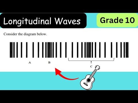 Longitudinal Waves Grade 10 | Physical Sciences 