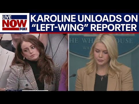 Leavitt unloads on reporter over ICE in Minneapolis