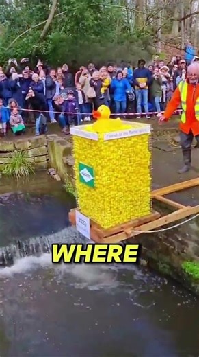 The Crazy Duck Race That Raises Money 🦆