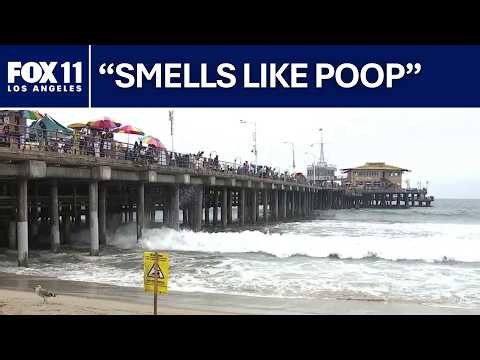 Bacteria warnings issued as millions head to Los Angeles County beaches