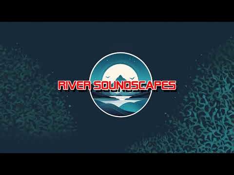 Live 24/7 River Stream – Relaxing Water Flow & Green Noise for Sleep & Calm