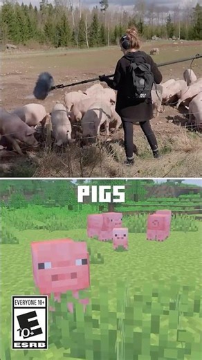 LOOK AT THESE MINECRAFT SOUNDS