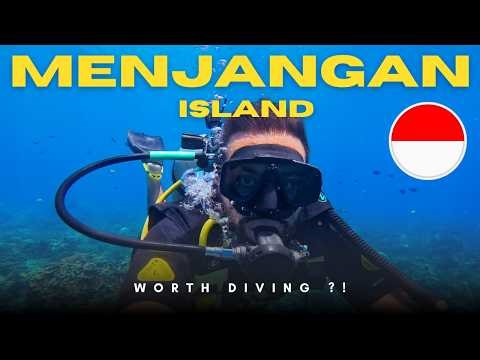 Menjangan Island DIVING: Bali’s Hidden Underwater Forest 🌊