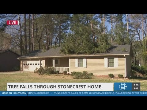 Tree falls through Stonecrest home