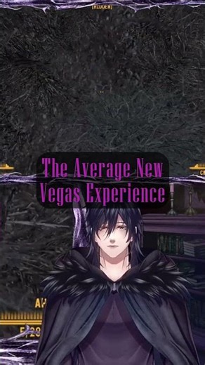 The Average New Vegas Experience