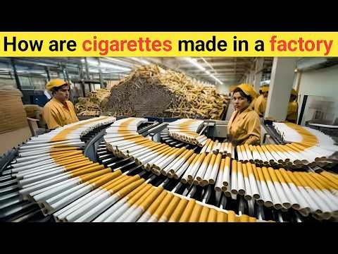 How Cigarettes Are Made in Factories | Inside the Modern Cigarette Manufacturing Process 🚬🏭