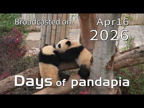20260416 Broadcast Top Highlights 01