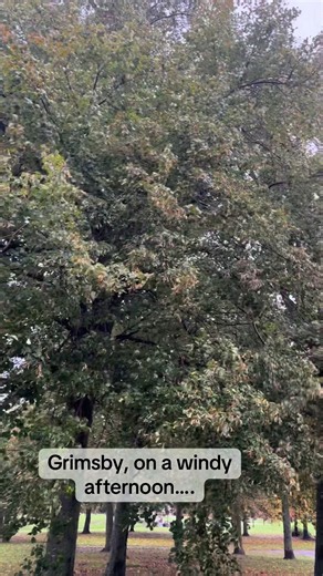 Grimsby's Wooden Park on a Stormy Autumn Afternoon 🍂