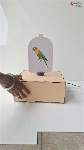 👉 Your Eyes Will Lie to You 🤯🐦 | Parrot Cage Illusion #shorts