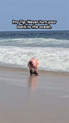 Woman Gets Knocked Over by Wave at Dog Beach