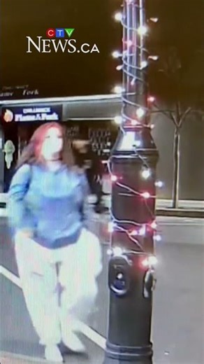 Video shows Grinch-like vandalism in B.C.’s Fraser Valley